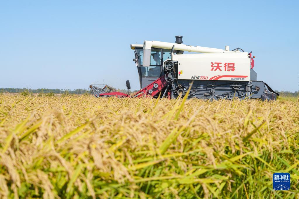 奔驰宝马的最佳压法